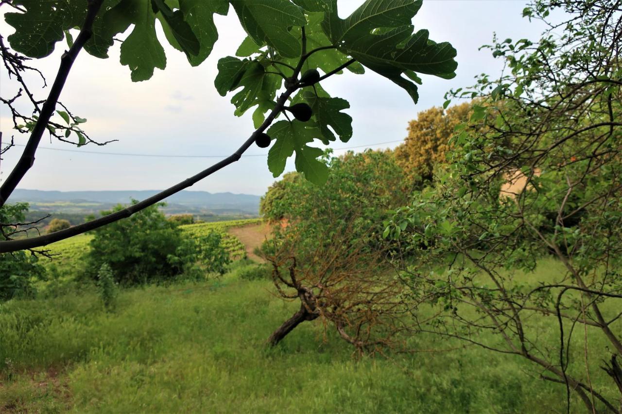 Masia Sagues Poblet Exterior foto